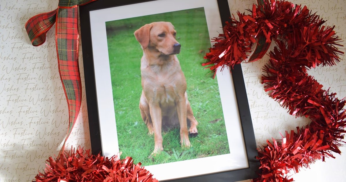 custom 3D printed pet dog memorial keepsake