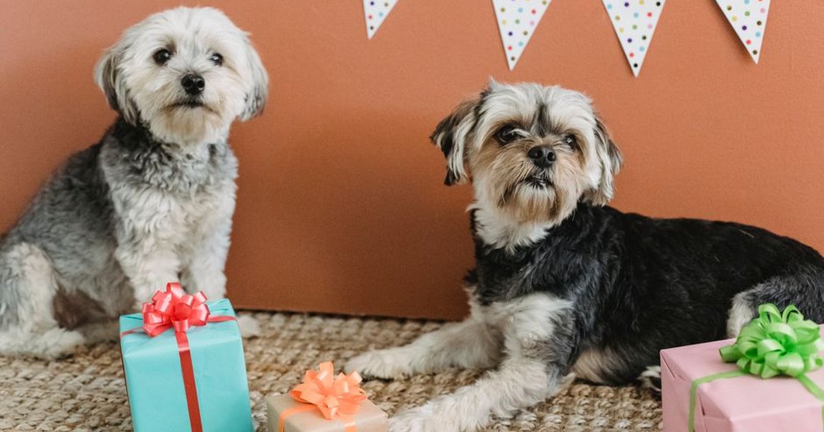 custom 3D printed pet dog memorial keepsake