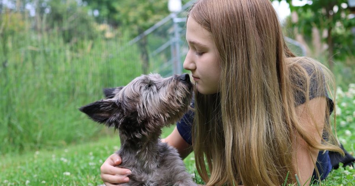 custom 3D printed pet dog memorial keepsake